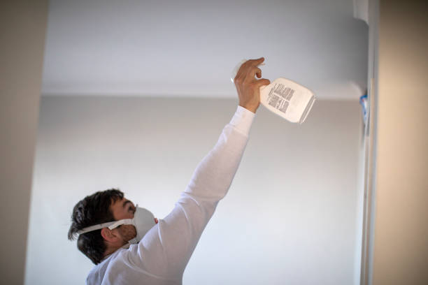 Best Residential Mold Remediation in Carthage, MO