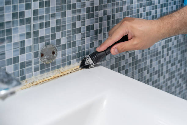 Best Post-Flood Mold Remediation in Carthage, MO